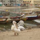 Mauritanie